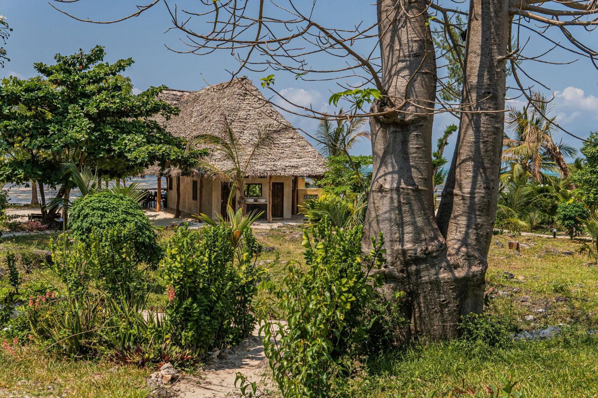 Jaribu Beach Hotel Paje Zimmer foto